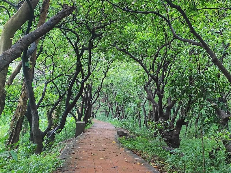 মিরপুরের বোটানিক্যাল গার্ডেন